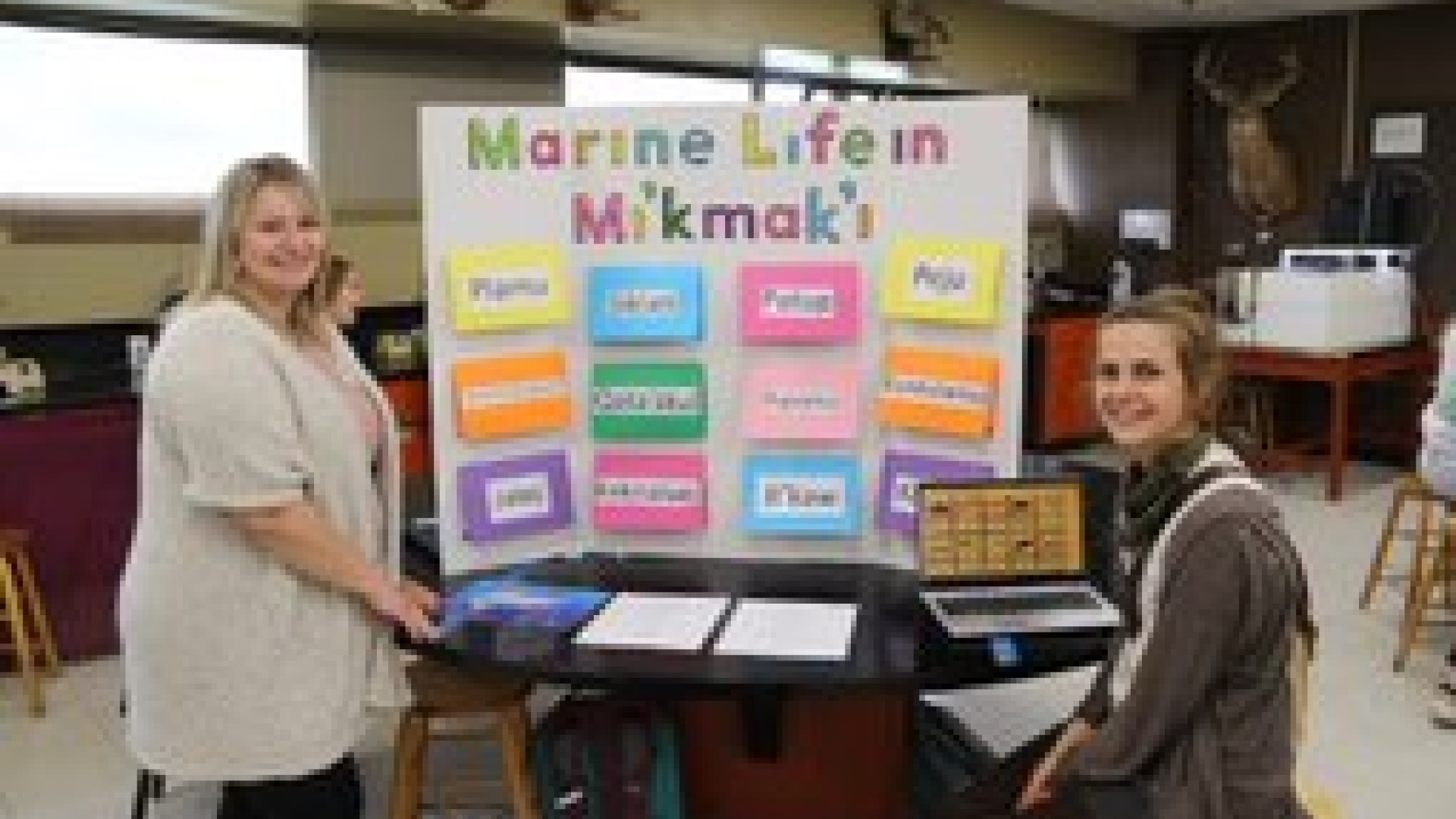 Confederacy of Mainland Mi'kmaw