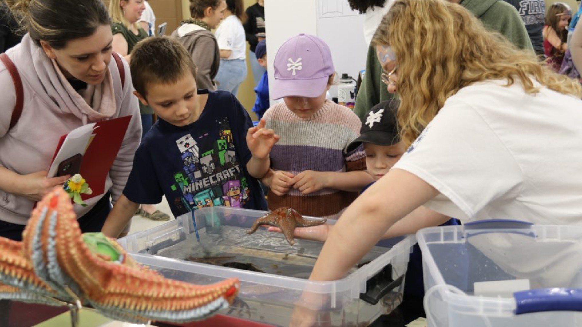 Students looking at starfish