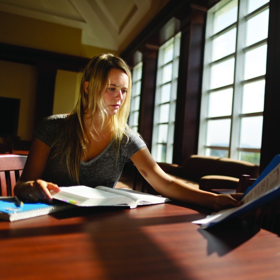 Close up of a student studying in the Gerald Schwartz School of Business. The student is sitting at a table near the windows, where the sun is shinning through.