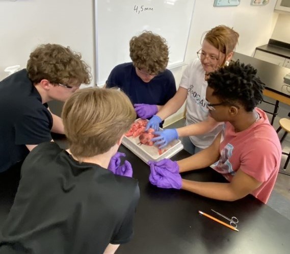 Students Performing Lab Experiments on Shrimp
