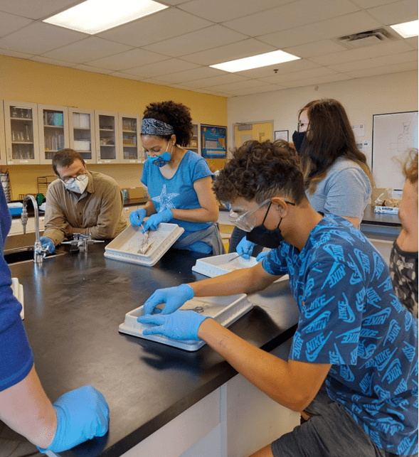 Students at the Lab Using Protective Gloves and Glasses