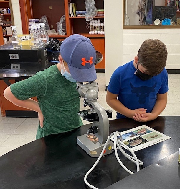 School Students Observing Water Bears on a Microscope